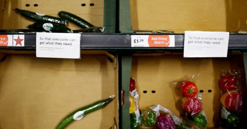 英国蔬果荒 催生“种菜热” 种子销量急升