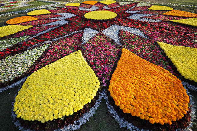 <b>伊拉克国际花卉展</b>－－伊拉克巴格达动物园周四举行国际花卉展，美丽的花卉图案让游客赏心悦目。（法新社）