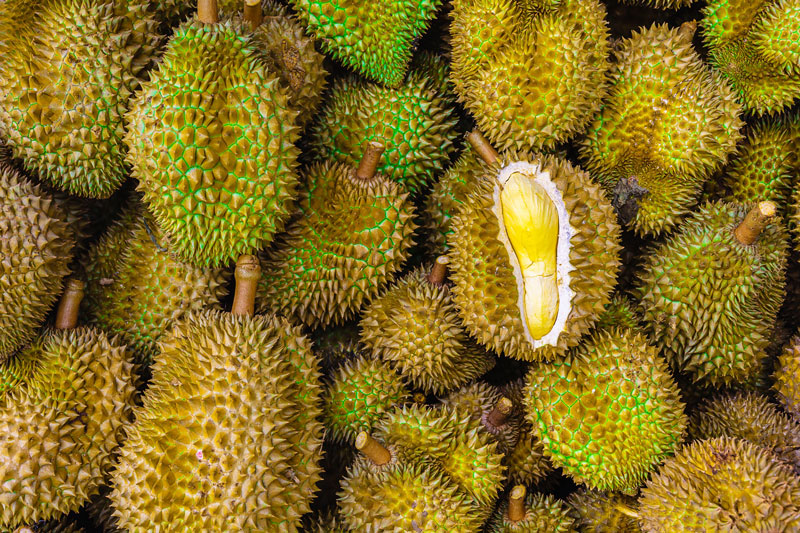 榴梿, durian