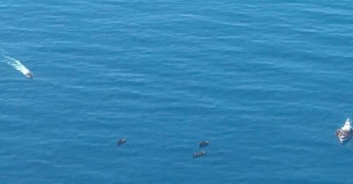 突尼西亞海域 2移民船沉沒 29死