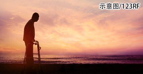 骨密度低的老年人 患痴呆症风险高