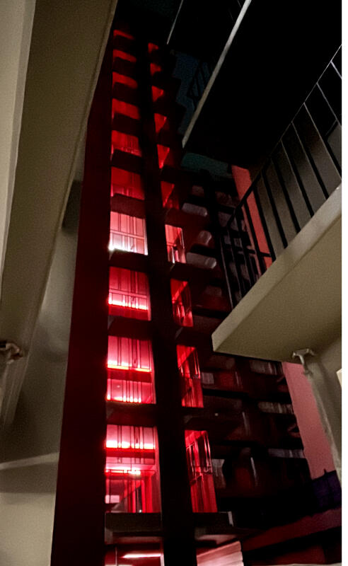 整栋组屋的电梯间泛红，有居民觉得害怕，有居民觉得像庙宇。 