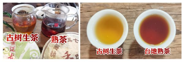 古树茶颜色带金黄色，琥珀色，香气高，台地茶喝两三杯后会感觉很饿，刺激性较强。