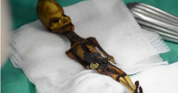 alien Mummy 外星人 木乃伊 科学家