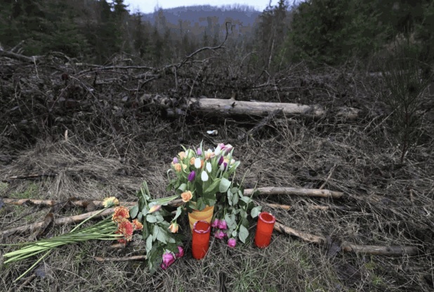 当地人在露易丝丧生地点摆放鲜花悼念。