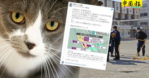 公园校园菜园都有 日本爆连环虐猫碎尸案