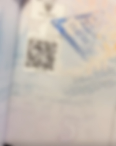 丈夫及小三的护照上，印有到峇厘岛旅行的出入境印章。