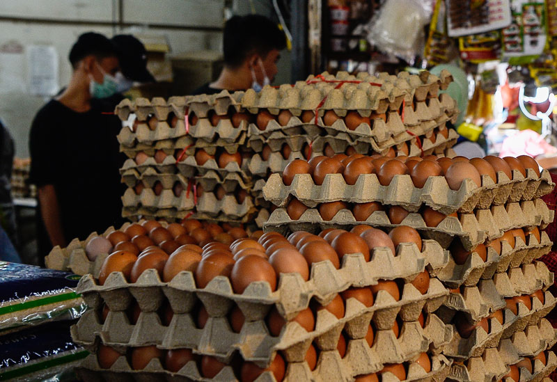 东海岸大多数超市的各级鸡蛋供应仍充足。