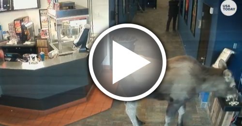 它进戏院 不看戏 低头狂嗑爆米花