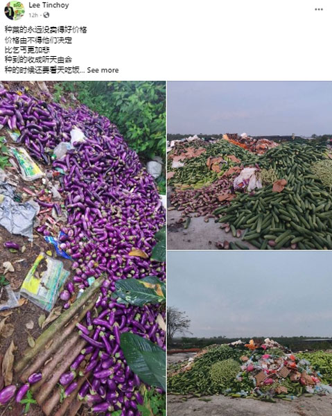 网民“Lee Tinchoy”慨叹，菜农辛苦耕种收成的蔬菜一直卖不到好价钱。