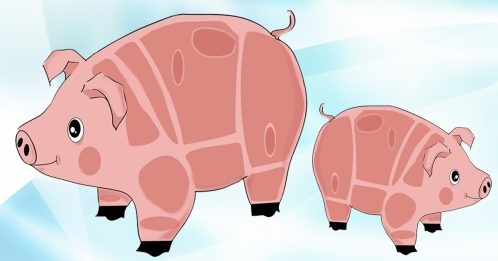 ◤好食材◢ 猪肉 你认识有多少？