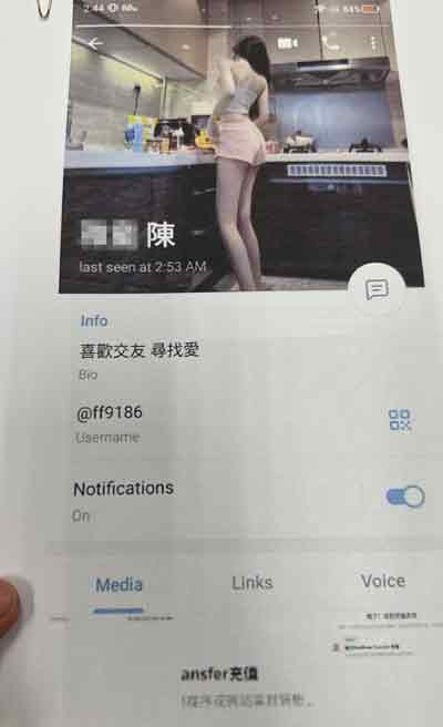 事主在Telegram认识自称为陈雅童的女子。