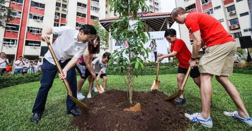 纪念李光耀百岁冥诞 人民行动党邀民种1万棵树