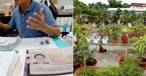 花圃商误信越南女商人 付23万订金 一朵花都拿不到