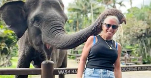 美国女子到峇厘岛旅游 手臂遭大象咬断