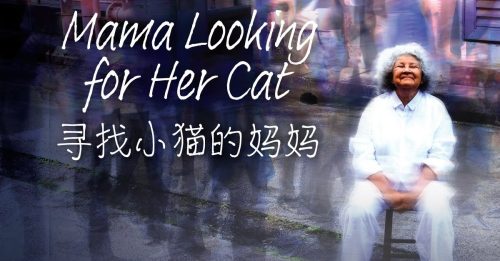 ◤艺文导报◢寻找小猫的妈妈