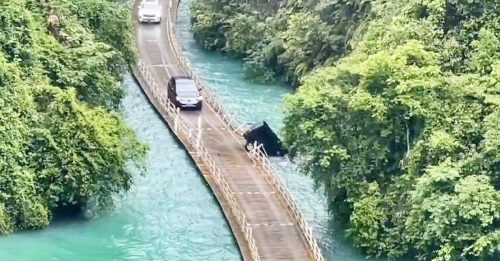 湖北网红浮桥公路发生事故 车冲下沉没 5死3伤