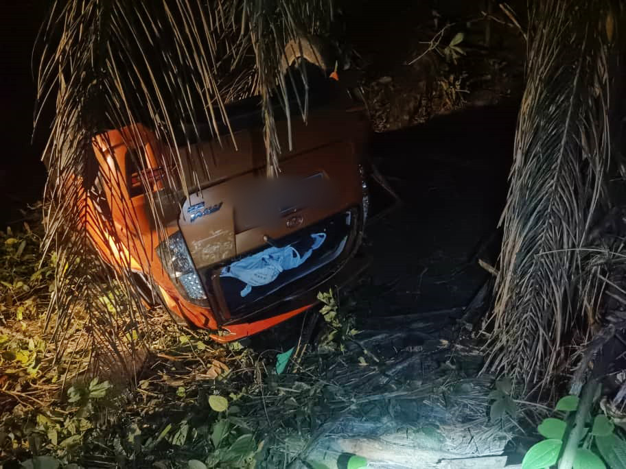 肇祸迈薇轿车翻覆在油棕园中，酿成一死3伤意外。
