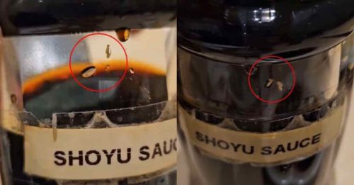 日本餐厅酱油瓶有蛆虫  男子彻夜腹泻