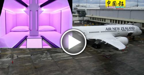 全球首创经济舱“躺着搭” 纽航公布价格与开卖时间