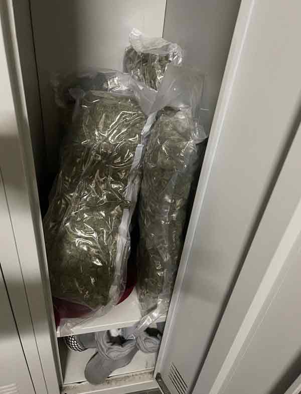 德国警方起获的大批毒品大麻。（法新社）