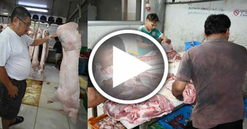 猪肉商：国产肉符合卫生 反该查进口商屠宰场