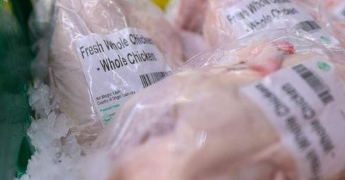 新加坡进口鸡肉增7％ 大马月输180万只活鸡