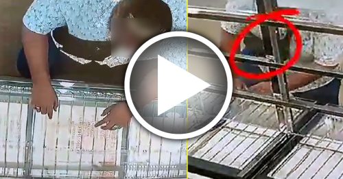 要求试戴 施展妙手 狡猾贼徒秒偷金链戒指