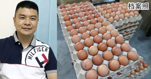 禽总：国内肉鸡和鸡蛋供应充足