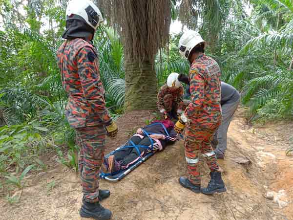 消拯员以担架抬女子下山，并送往医院治疗。