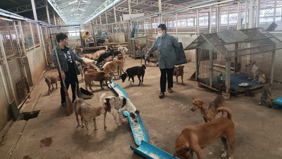 为照顾逾2千只猫狗 阿嬷要卖屋养护【内附音频】