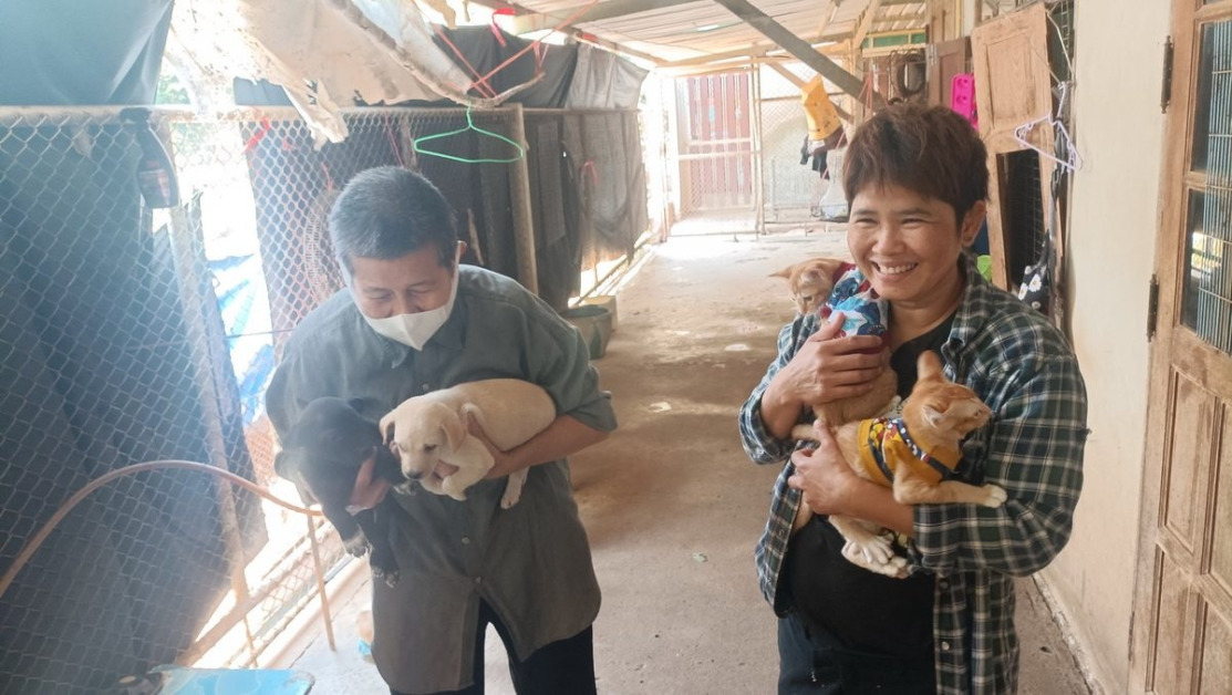 为照顾逾2千只猫狗 阿嬷要卖屋养护【内附音频】