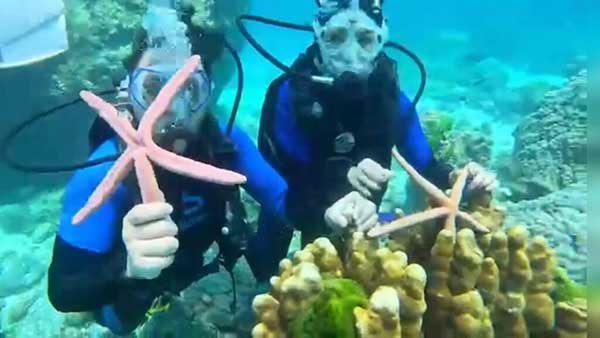 phuket starfish 中国游客