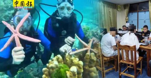 普吉岛抓海星爬珊瑚拍照  3中国游客面临被诉