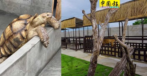 游客虐待动物  泰迷你动物园永久关闭