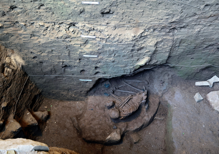 新石器时代前女性骨骸 移出话望生山洞