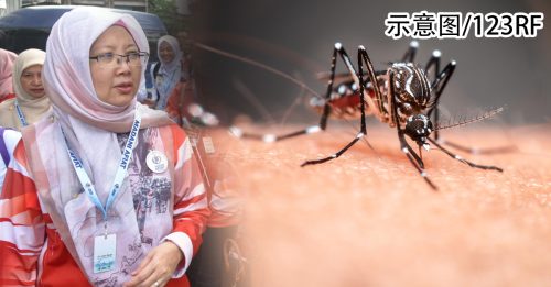截至7月 45人死于蚊症 扎丽哈：死亡病例暴增136.8%