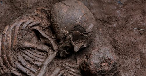化妆品原材料判断 遗骨属1万4000年前女子