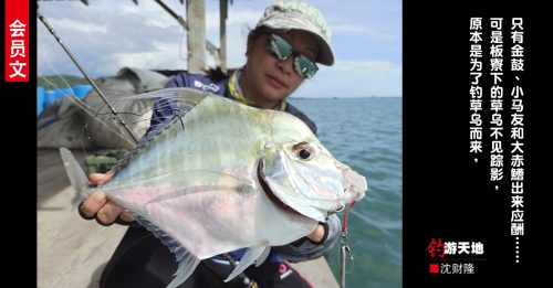 ◤会员文：钓游天地◢槟城阿曼岛鱼排 草乌都跑去哪了？