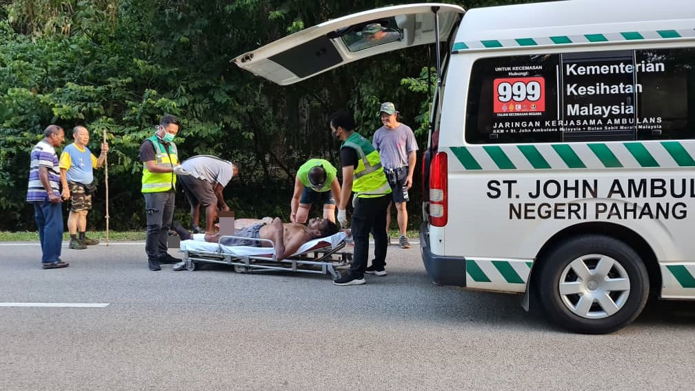 被野猴攻击的伤者，被抬上救护车。