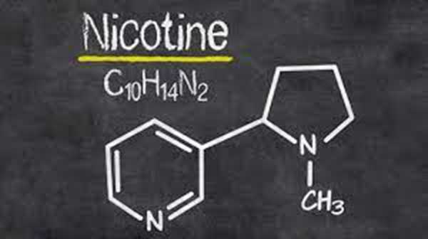 nicotine c10h14n2 KhairyJamaluddin 尼古丁  凯里