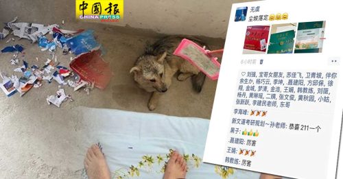 她收到名校录取信嗨爆  午休后气到想吃狗肉