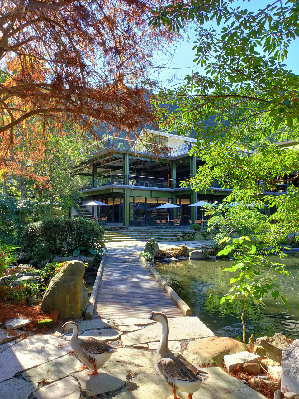 ▲醒来,在紫森林──三富休闲农场。