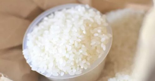 ◤好煮意◢ 米保存得好不生米虫