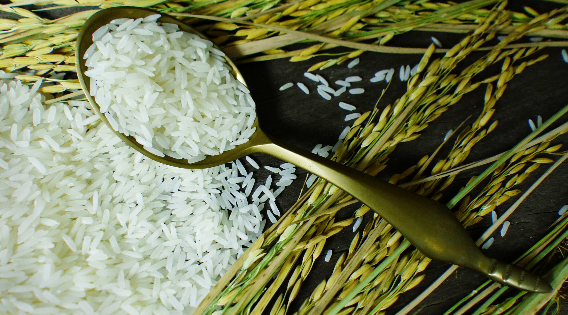 印度收紧稻米出口 威胁全球粮价