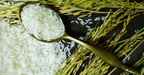 印度收紧稻米出口 威胁全球粮价