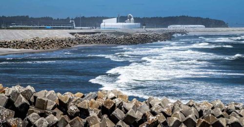 福岛核污水排海 日本海鲜还能吃吗？