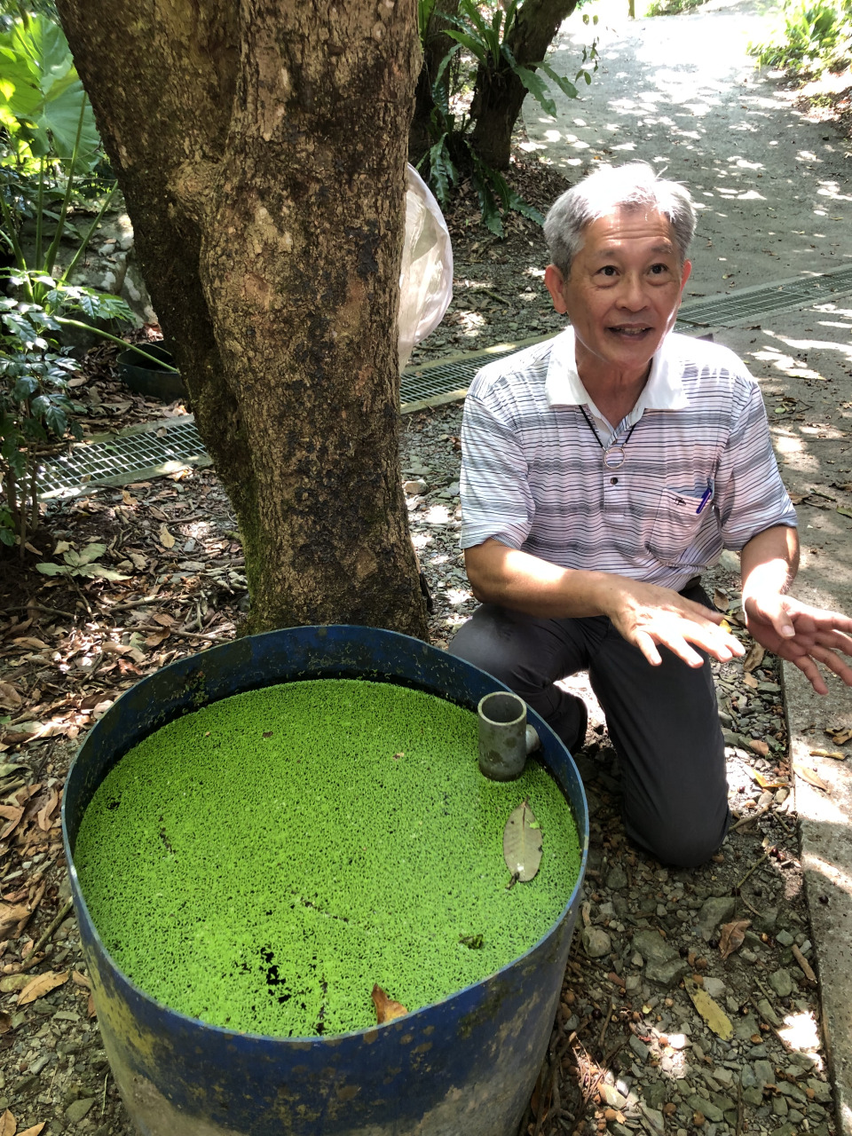 ▲“养蚊大师”徐文良与他的养蚊桶,他说自己一直是在向大自然观摩学习,语闭带着豁达开朗的连声呵呵呵!