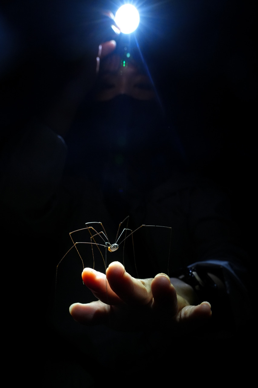 （摄影：骆奕希）