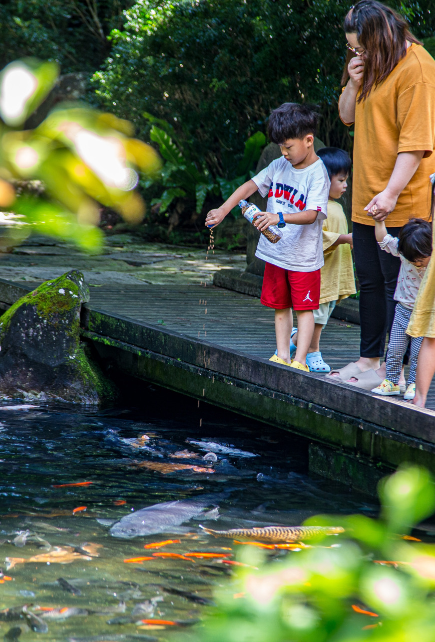 ▲喂饱你的肚皮,喂养我的快乐,大家合作愉快!(摄影:江云龙 )